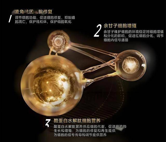 这个秘密，95%的人都不知道EX外汇官网的真实优势！